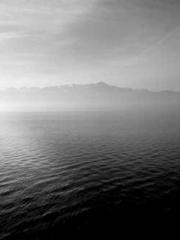 The  Princess  Rebor