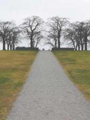 Shen Ning, Ran, Bo J