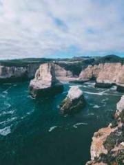 Transmigration: Feel