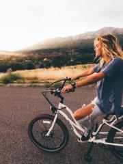 Peninsula Asteroid l