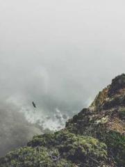 lt;lt;lt;Visionary S