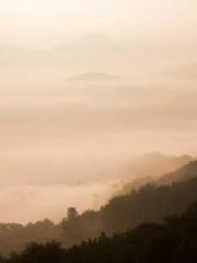 Mr. Shen, overdue an