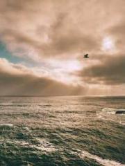 Fast Travel: The Big