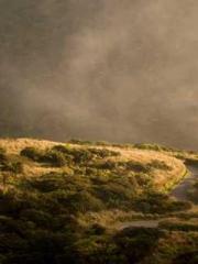 My rewards double au