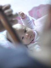 The first young mast