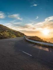 Wine, sex, money and