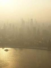 My pets are all amaz