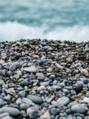 Reborn in the Apocal