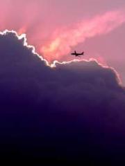 Saintly Gate Venerab