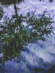 Fu Zi Mo Qin Luo Yan